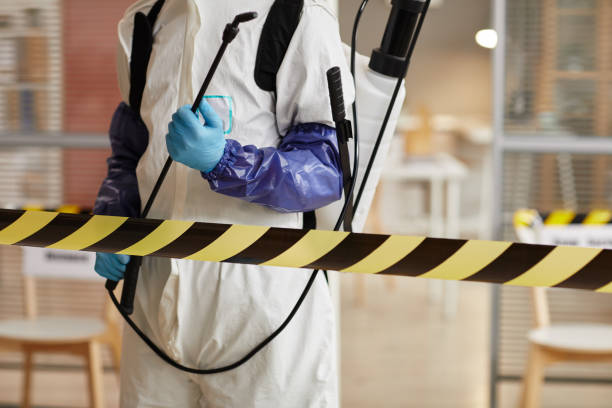 Professional Hoarding Cleanup technician working in Kurtistown, HI